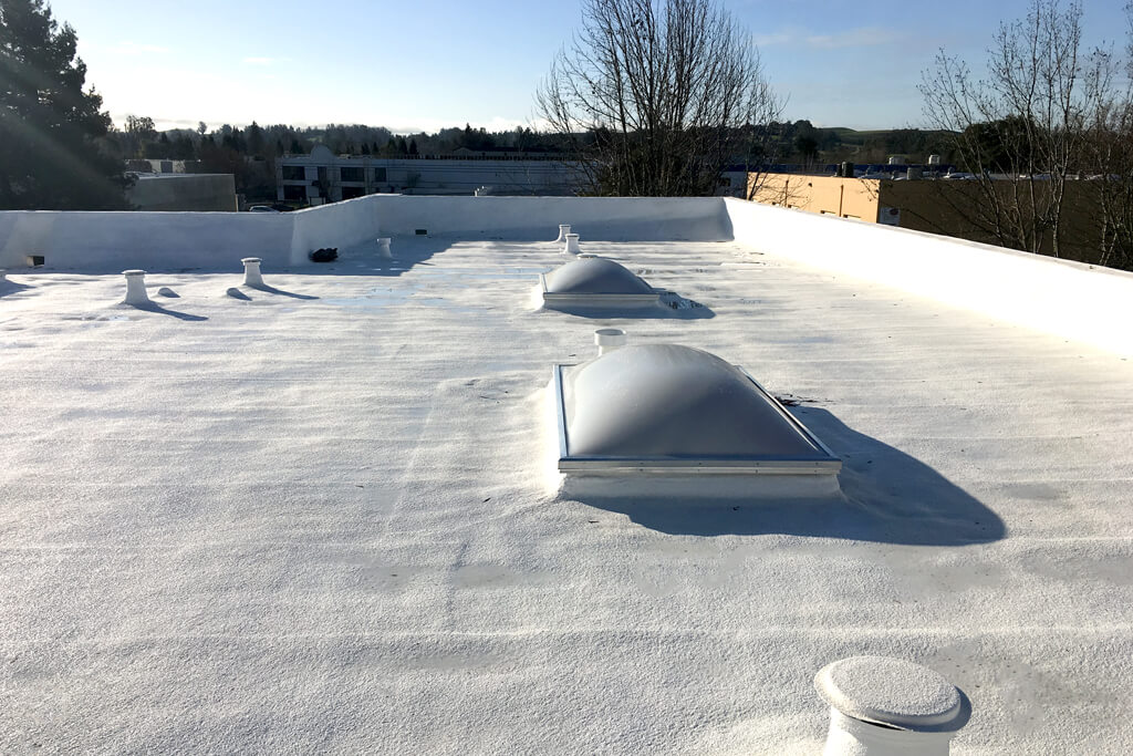 Foam Roofing - 3